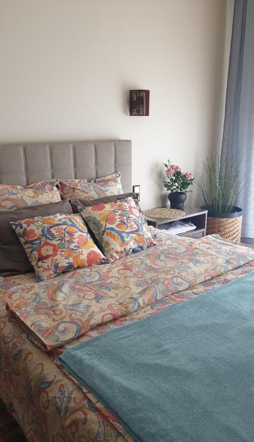 Apartament Moderna Francuska Park كاتوفيتسه المظهر الخارجي الصورة